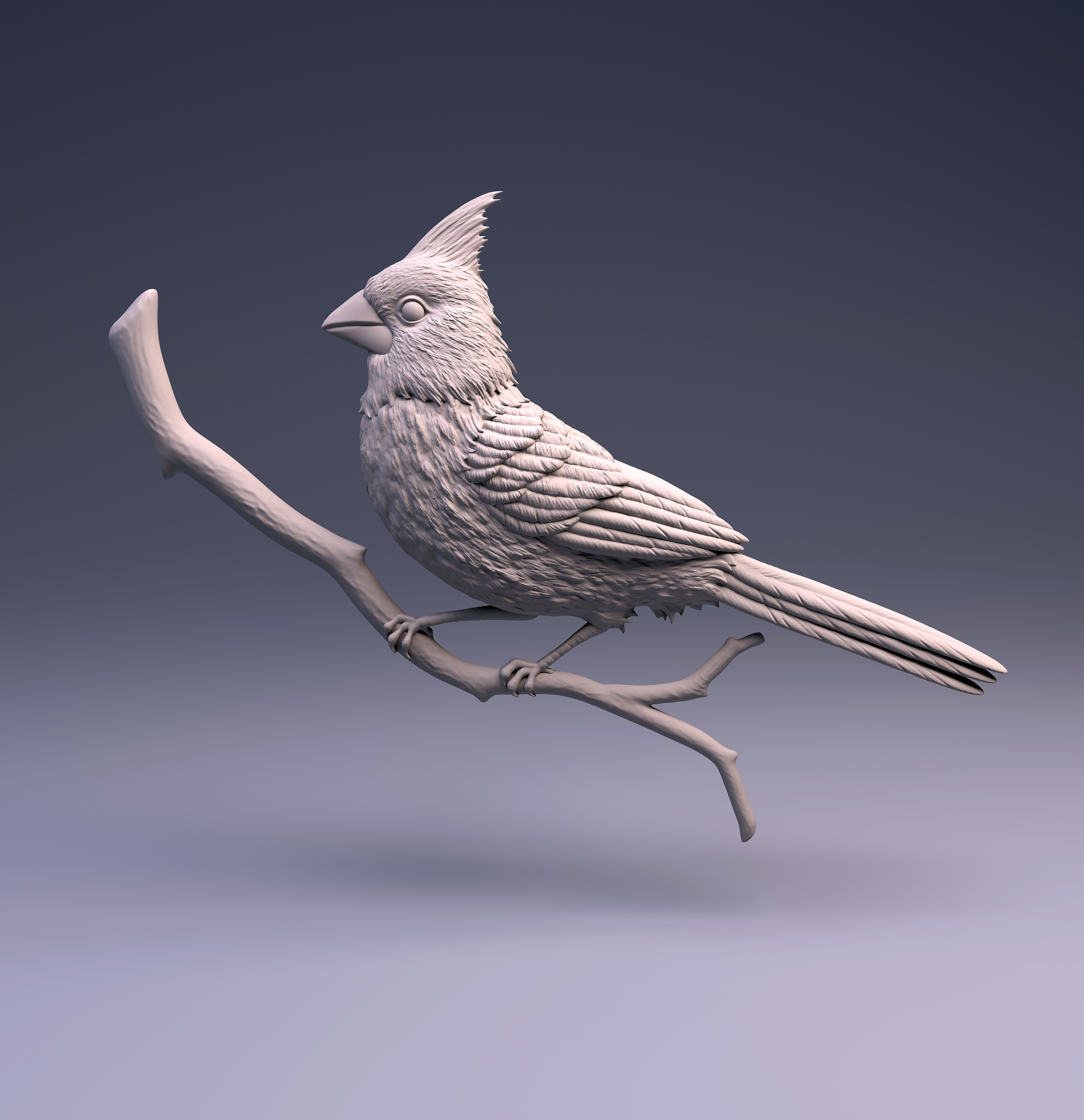 Cardinal 1